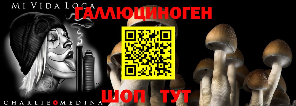 Псилоцибиновые грибы Psilocybine cubensis  где купить наркоту  Кизляр  Вход с VPN 